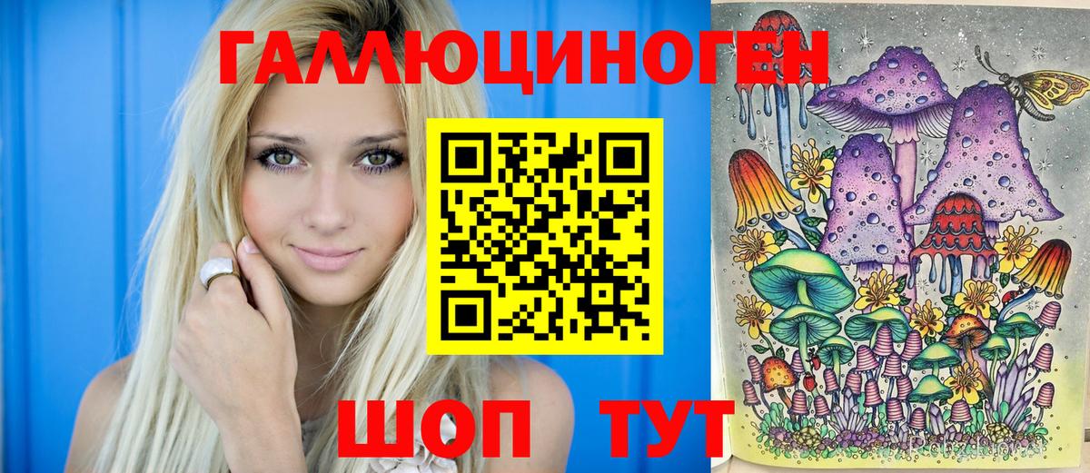 Псилоцибиновые грибы GOLDEN TEACHER  Вход с VPN  Бердск 